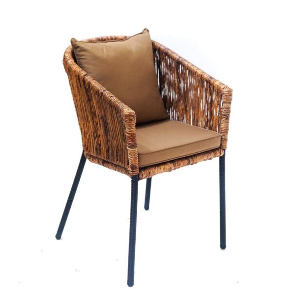 Special-Rattan-Dining-Chair