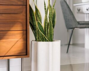 column-planter-medium