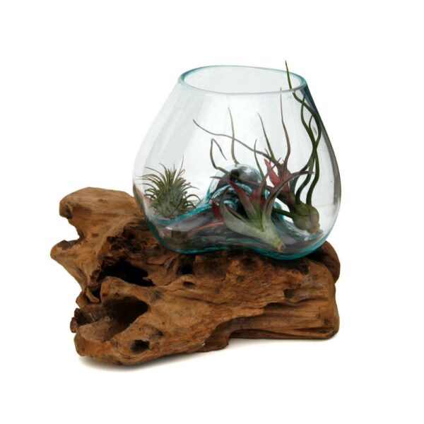 small-terrarium-wood-glass