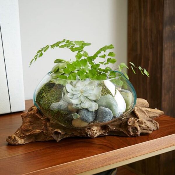 wood-recycled-glass-terrariums