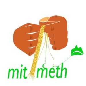 mit-meth-logo