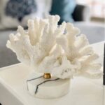 Coral Ornament