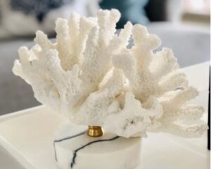 Coral Ornament